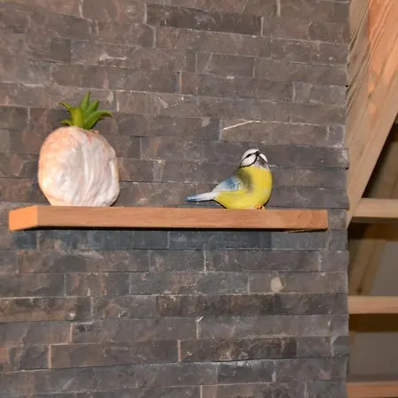 La Bulle Du Trappeur * Pondrôme