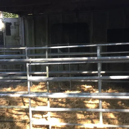 Σαλέ La Bulle Du Trappeur