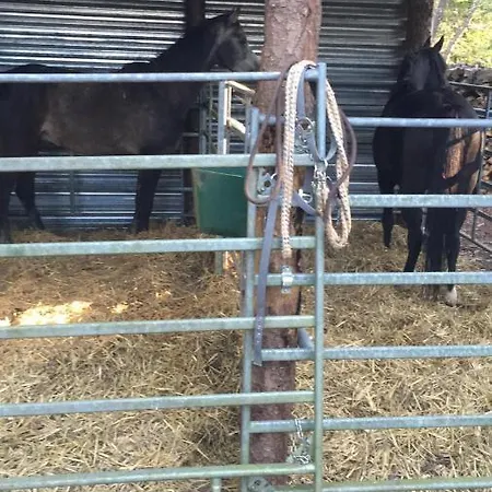 La Bulle Du Trappeur *