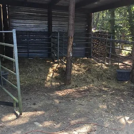 La Bulle Du Trappeur * Pondrome